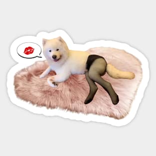 Dog Meme: Dog in black tights? Sticker